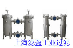 双联袋式过滤器